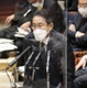 邦人保護、安保戦略改定で議論