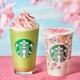 【スタバ新作メニュー】「花見抹茶 クリーム フラペチーノ」「花見 ブロンド ラテ」人気ビバレッジを春らしくアレンジ
