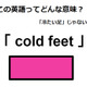 この英語ってどんな意味？「cold feet」