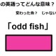 この英語ってどんな意味？「odd fish」