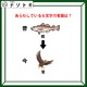 クイズです！イラストから言葉を考えてね。ジョークのセンスも問われるかも【難易度LV２.・甘口】