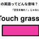 この英語ってどんな意味？「Touch grass. 」
