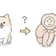 ポメラニアンは成長中の換毛期に「サル」のようになる…?! でもかわいさは今も昔も変わらない【うちのむっくはいつも楽しそう #８ 】