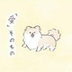 犬の神秘…むっくは胸毛もふわふわ過ぎて「愛」そのものの存在か?!【うちのむっくはいつも楽しそう #９ 】