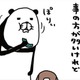 世の中思い通りにいかないことのほうが多いけど…犬はかわいい【パンダと犬 ＃27】