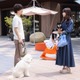 【初恋DOGs 第1話】愛子（清原果耶）＆快（成田凌）、愛犬同士が恋に落ちる