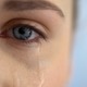 泣きたくても泣けないあなたへ【暮れの酉 幸せに気づくエッセイ８】