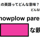 この英語ってどんな意味？「snowplow parent」