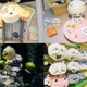 「ちいかわパーク」内部初潜入！かわいいとダークが共存、作品世界を具現化したファン必見の空間をレポ