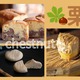 【「栗スイーツ」おとりよせ、１つに絞るなんて無理です！】旬の「栗」をたっぷり使った和菓子も洋菓子も、おいしそうすぎる♪ 売れ筋３選 ≪Amazon今トク情報≫