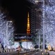 六本木ヒルズ冬の風物詩「けやき坂イルミネーション」11月4日点灯、恒例のクリスマスマーケットも開催