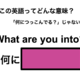 この英語ってどんな意味？「What are you into?」