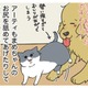 わが家に加わった生後10日くらいの仔猫は女の子。愛犬もせっせと子育てのお手伝い【おさんぽですし！　おしゃべり犬とイライラ猫の日記 #19】