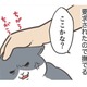 愛猫にねだられ、なでなでタイム。まさか「肉球」を触って欲しいなんてことあるんだ…【おさんぽですし！　おしゃべり犬とイライラ猫の日記 #22】