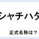 【クイズ】シャチハタって何だか言える？意外に知らない！