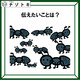 クイズです！「このイラストが伝えていることは？」生き物がたくさんいますね【難易度LV２.・甘口】