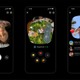 Instagram新機能「Instants」リリース 友達の閲覧後に自動削除・日常の一コマを共有可能