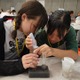MIT学生が教えるSTEAMワークショップ、女子小中学生を募集