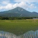 【夏休み2026】磐梯町の教育環境と教育移住を紹介、渋谷でイベント7/26