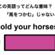 この英語ってどんな意味？「Hold your horses.」