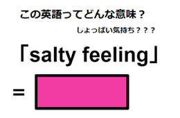 この英語ってどんな意味？「salty feeling」