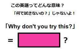 この英語ってどんな意味？「Why don’t you try this?」