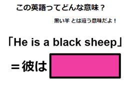 この英語ってどんな意味？「He is a black sheep」