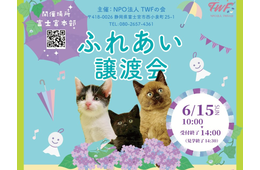 青木さやかさん参加！6/15（日）＠富士宮市「運命の家族にも出会うかも…？」仔猫・成猫・犬の譲渡会