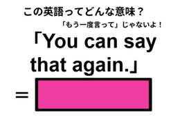 この英語ってどんな意味？「You can say that again. 」