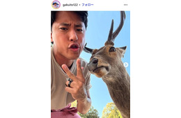 「ZIP！」旅するエプロン・伊藤楽、美人妻顔出し 娘の100日祝い＆お食い初めショットに反響「3人とも可愛すぎる」「温かい家庭」
