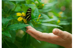 虫が大の苦手な私 洗濯物も外に干せなかったが⇒出産を機に「自分でもびっくり」