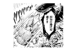 ついに「ヤシガニ」に会えるツアー開始！険しい林道を走り続けて、着いた先は…岩場!?【ぼっち旅 ～人見知りマンガ家のときめき絶景スケッチ～  #３】