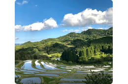 サウナ付隠れ家や無印初の古民家宿も、日本の原風景が残る千葉・鴨川の古民家宿＆カフェ5選