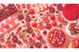 ヒルトン京都のイチゴスイーツビュッフェ、贅沢なケーキやタルトで甘美な世界に“メロメロ”に