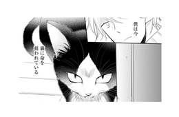 偏屈で人嫌いなミステリー作家の青年。新作の題材は…猫？ どこで出会ったの!?【同居人はひざ、時々、頭のうえ。 #１】