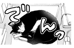 猫と同居しはじめたミステリー作家の青年。パソコンの上を陣取られてエサで釣る作戦を考えるが…【同居人はひざ、時々、頭のうえ。 #11】