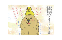 サロンでシャンプーしてもらった愛犬。もふもふに隠れて…せっかくのチョーカーはどこ？【おさんぽですし！　おしゃべり犬とイライラ猫の日記 #13】
