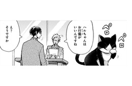 猫と生活していると爪とぎ跡があるはずなのに、見当たらない… どこで爪とぎしているのかな？〈4コマ漫画〉【同居人はひざ、時々、頭のうえ。 #63】