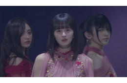 乃木坂46、フェス未配信部分ライブ映像期間限定公開