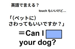 英語で「ペットに触ってもいいですか？」は何て言う？