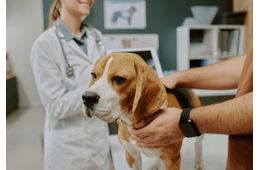 診察台を拒否する愛犬　獣医の“まさかの最終手段”に⇒豹変し「え！」「先生に感謝」