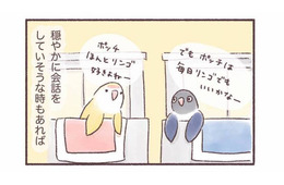 隣同士のケージで暮らす2羽のインコ。一体どんな会話をしているの？【うちのインコたちは今日もおしゃべり #２】