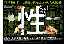 国立科学博物館、初の“性”テーマの特別展「生きものたちの性」人気クリエイターともタッグ