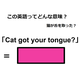 この英語ってどんな意味？「Cat got your tongue? 」