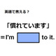 英語で「プレゼント用に包んで」はなんて言う？