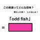 この英語ってどんな意味？「odd fish」