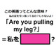 この英語ってどんな意味？「Are you pulling my leg? 」