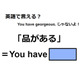 英語で「品がある」はなんて言う？