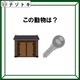 クイズです！「このイラストが示す動物は？」イラストを読んでみましょう【難易度LV２.・甘口】