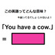 この英語ってどんな意味？「You have a cow.」